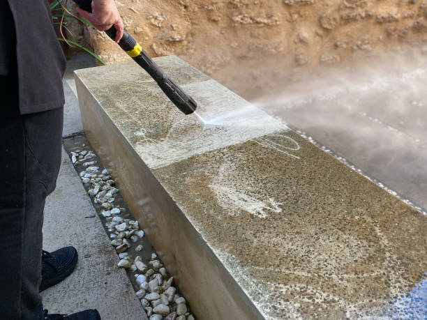 Best Residential Pressure Washing Services  in Naco, AZ